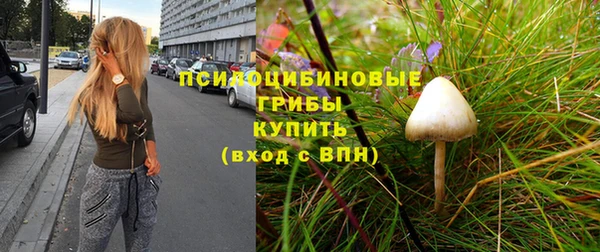 мяу мяу мука Алексеевка