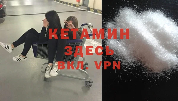 стаф Алзамай
