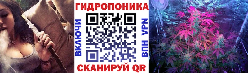 Шишки марихуана индика  Приморск 